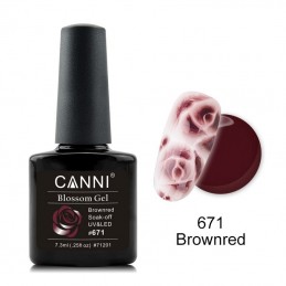 Canni Blossom Gel 671