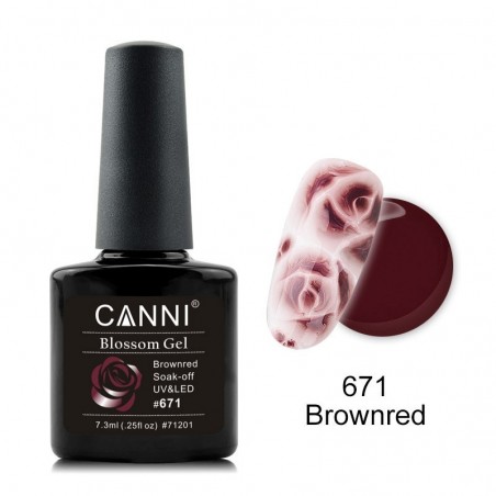 Canni Blossom Gel 671