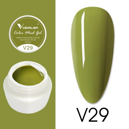 Gel Pictura Venalisa Mud V29