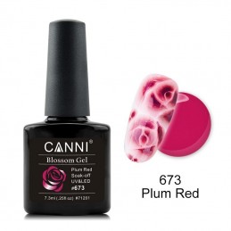 Canni Blossom Gel 673