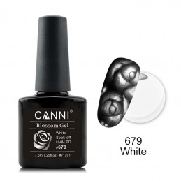 Canni Blossom Gel 679